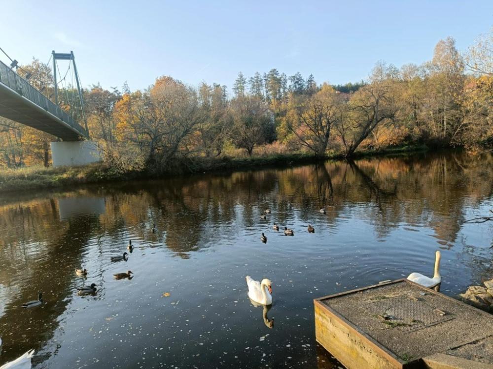 Relaxklub Villa S Wellness Tremosna Kültér fotó